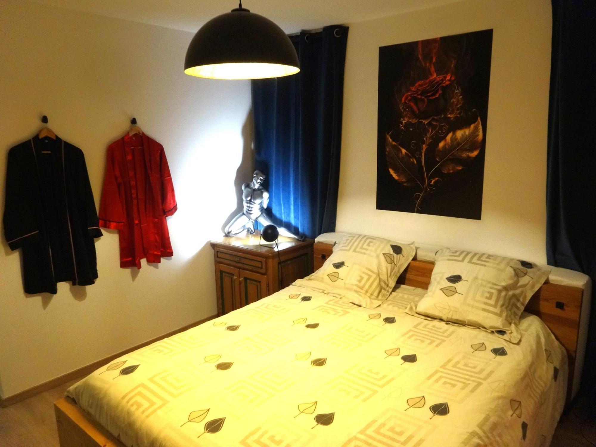 Ambiance Zen-Coliving-Teletravail Apartment Cesson-Sevigne Exterior photo